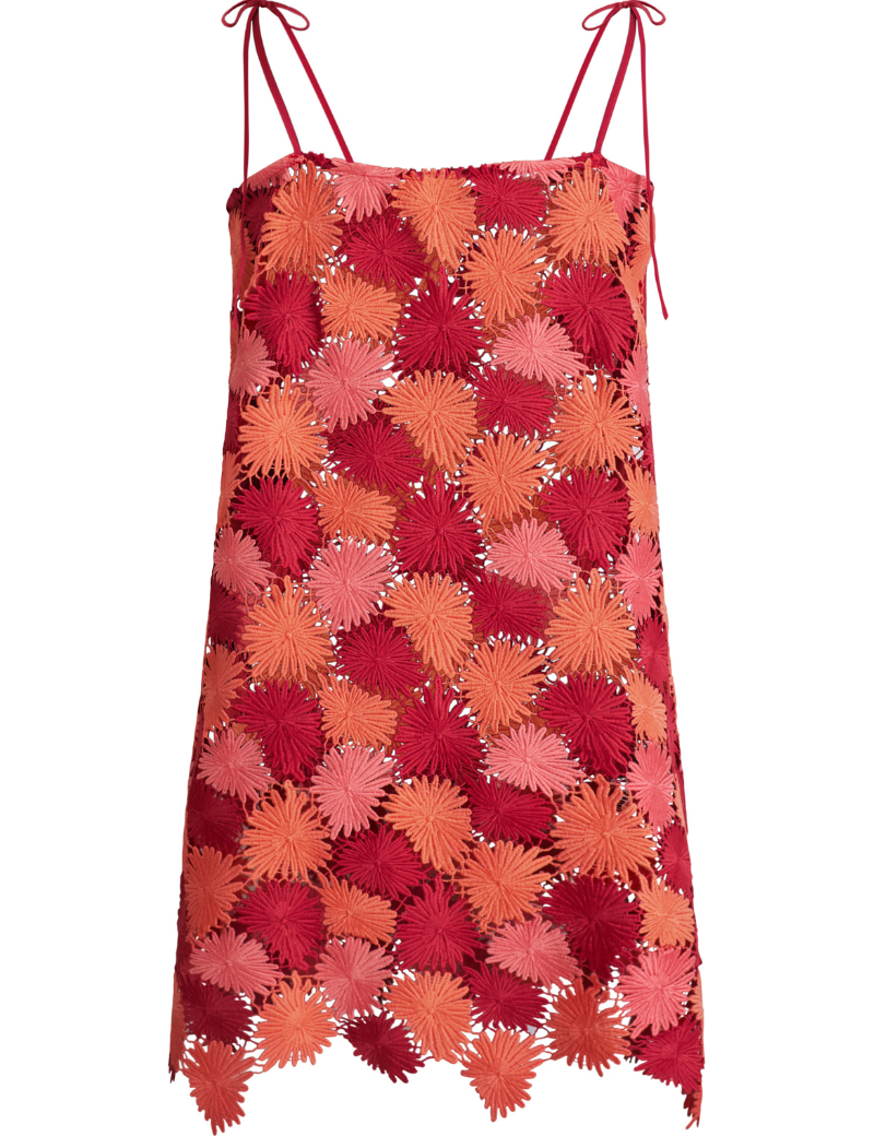 Cassia_6bcc26e4-dbf1-44b1-9b56-3225f8793481.png